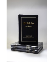 Bestsellers