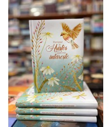 Bestsellers
