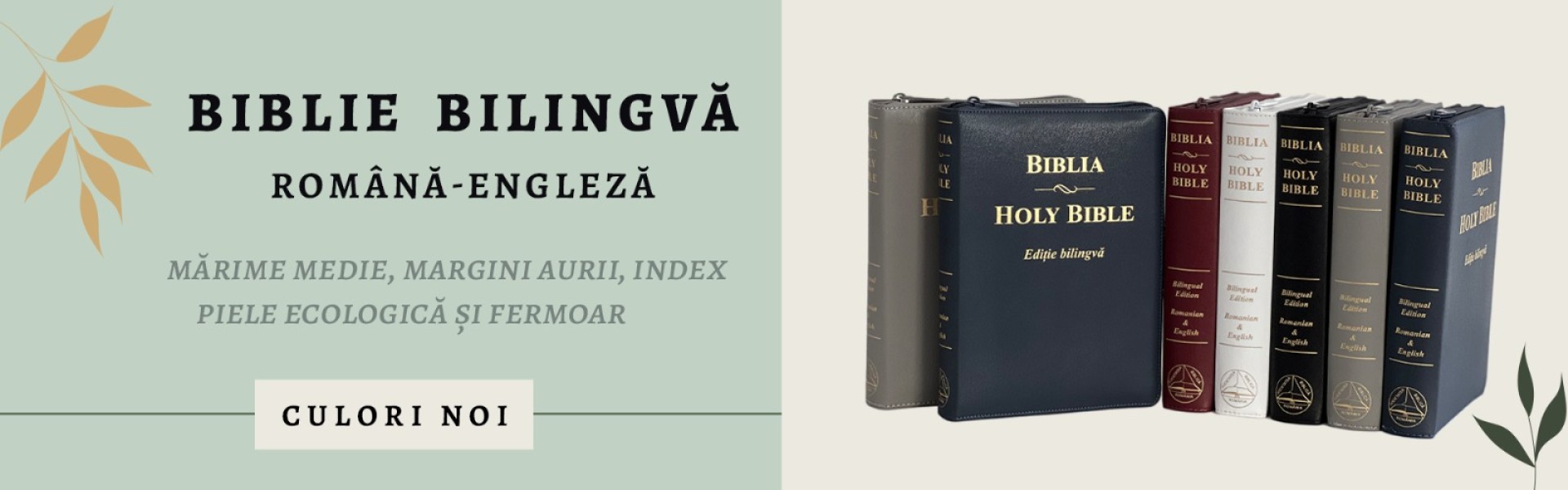 Biblia-bilingva