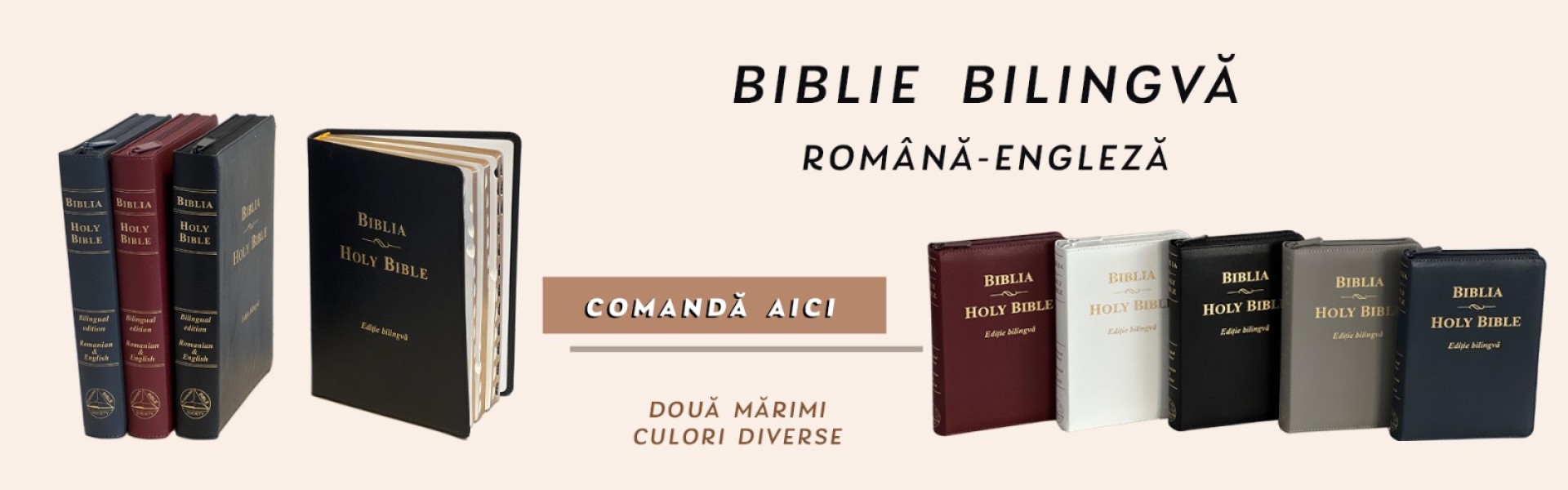 Biblia-bilingva