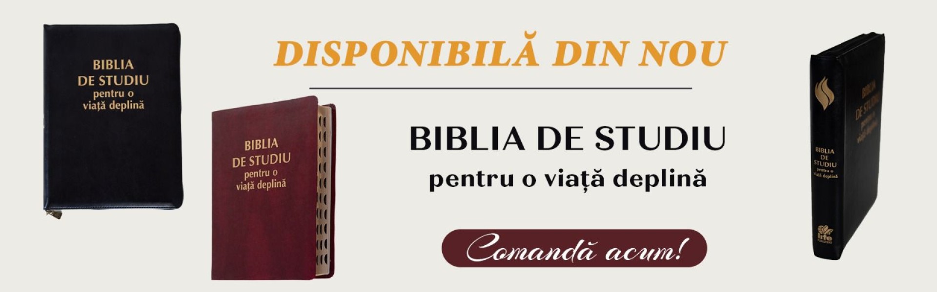 Biblia-de-studiu