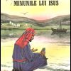 Minunile lui Isus