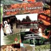 Descoperire in Tokushima