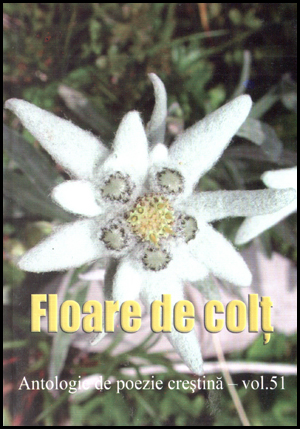 1322640119_floare_de_colt_478 Floare de colt