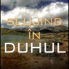 Slujind in Duhul