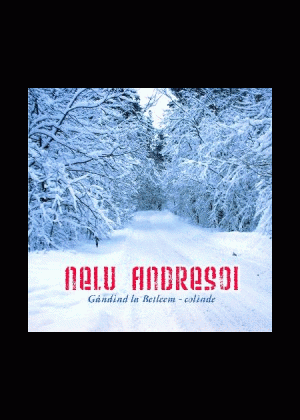 1323966433_neluandresoi_889 CD muzica - Nelu Andresoi