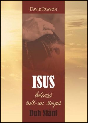 Isus botează într-un singur Duh Sfânt