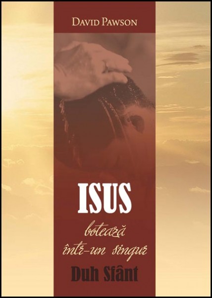 1324381195_isusboteaza_01_980 Isus botează într-un singur Duh Sfânt