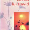 Cortul lui David