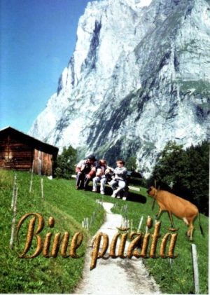 1327841326_binepazita1_1389 Bine pazita
