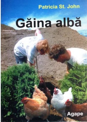 1328108184_gainaalba1_1422 Gaina alba