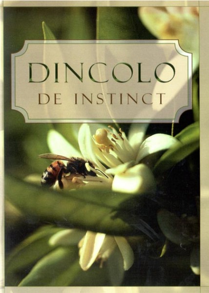 1330344282_dincolo1_1542 Dincolo de instinct