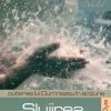 Slujirea prin Duhul