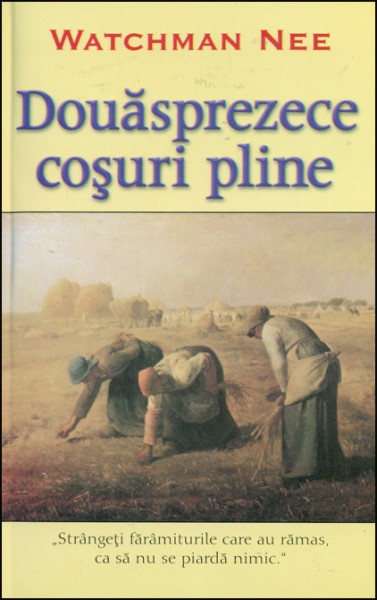 1346313579_cosuri01_2081 Douasprezece cosuri pline