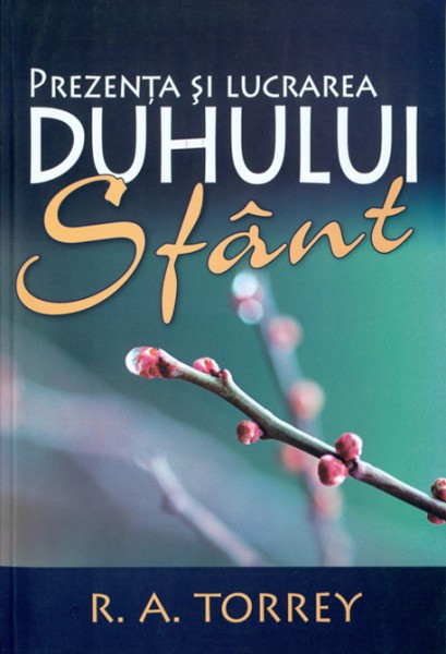 Prezenta si lucrarea Duhului Sfant