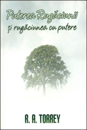 1354188788_putere01_2460 Puterea rugaciunii si rugaciunea cu putere