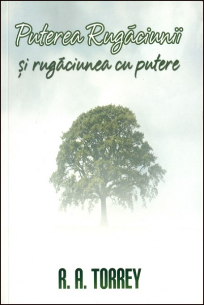 1354188788_putere01_2460 Puterea rugaciunii si rugaciunea cu putere