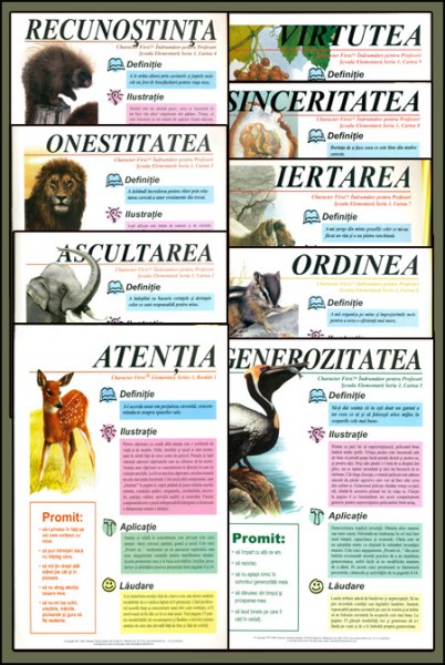 Manualul profesorului pentru gradinita si clasele primare - 9 reviste