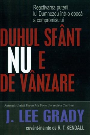 1371105539_ds_2633.vanzare Duhul Sfant NU e de vanzare
