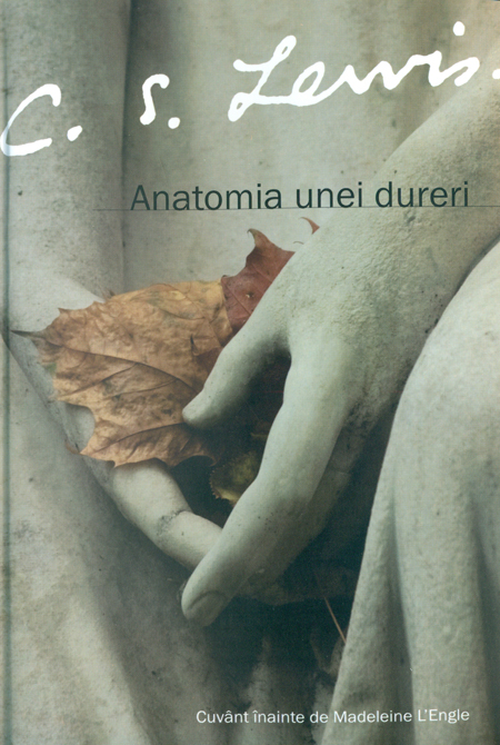 1391416365_anatomia1_2790 Anatomia unei dureri