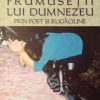 Cunoasterea frumusetii lui Dumnezeu prin post si rugaciune