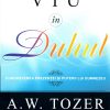 Viu in Duhul