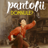 Sa va lustruiesc pantofii, domnule?