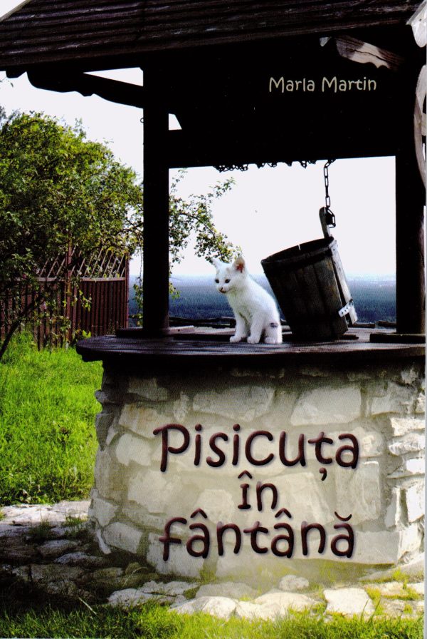 Pisicuta din fantana