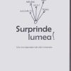Surprinde lumea