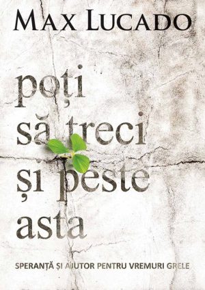 1523625270_25239_3885 Poti sa treci si peste asta