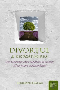 Divortul si recasatorirea - Sinteze tematice vol.2