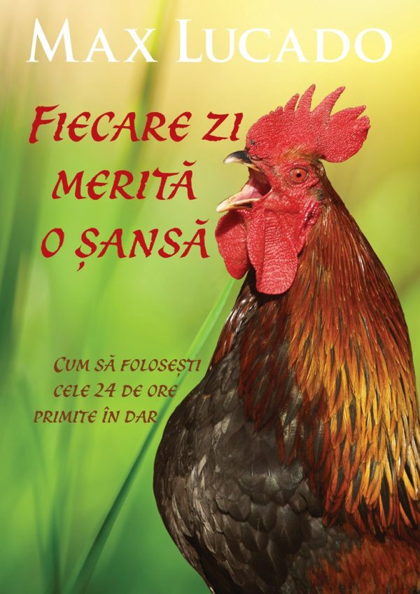 1539858725_everydaydeservef_547 Fiecare zi merita o sansa