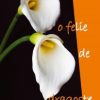 Taie-mi o felie de dragoste
