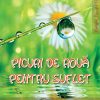 Picuri de roua pentru suflet