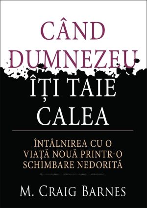 20100_15 Când Dumnezeu îți taie calea. Întâlnirea cu o viață nouă printr-o schimbare nedorită