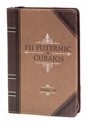 Jurnal: Fii puternic si curajos