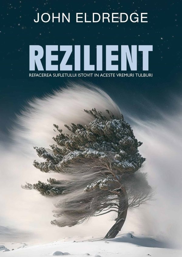 30090 Rezilient. Refacerea sufletului istovit în aceste vremuri tulburi