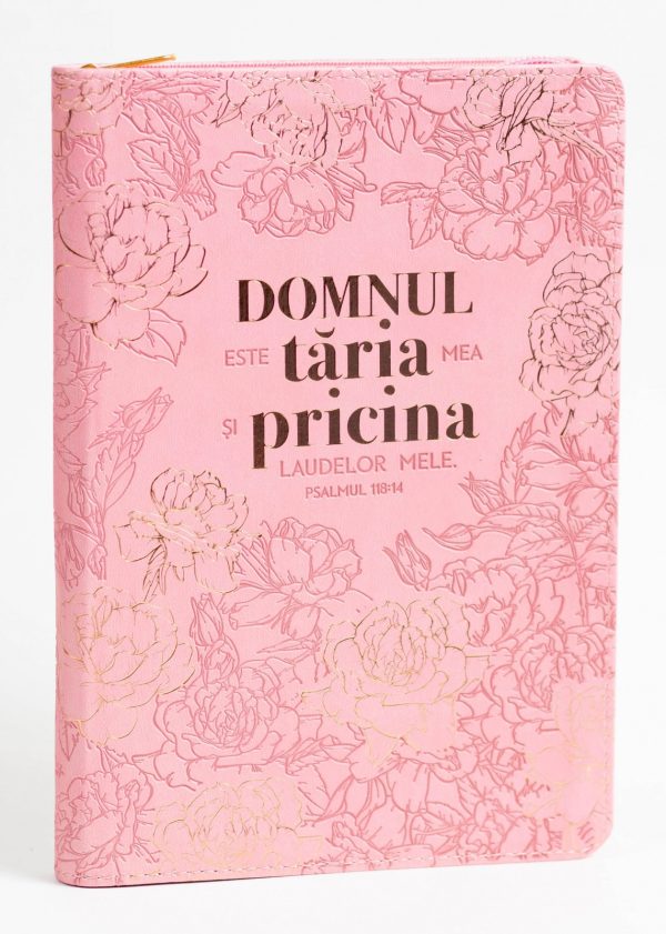 924014 Jurnal: Domnul este taria mea