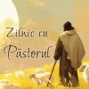 Zilnic cu Păstorul - meditații