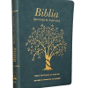 Biblia „Speranță în suferință” - albastru