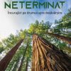 Neterminat: Încurajări pe drumul spre desăvârșire