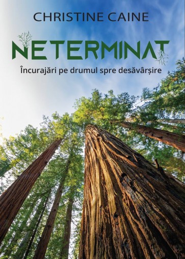 Neterminat: Încurajări pe drumul spre desăvârșire