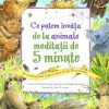 Ce putem învăţa de la animale. Meditaţii de 5 minute