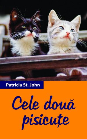 cele_doua_pisicute Cele două pisicuțe