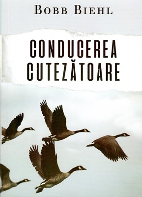conducerea-cutezatoare-3918-5123 Conducerea cutezatoare