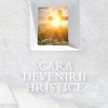 Scara devenirii hristice - Sinteze tematice vol.11