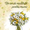 Un an de meditatii pentru mame