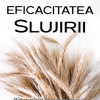 Eficacitatea slujirii