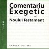 Comentariu exegetic al Noului Testament. Matei