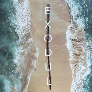 Exodul - o abordare expozitiv-aplicativă